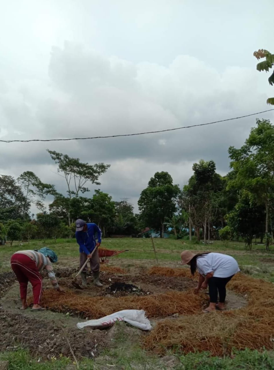 MENJADI REKAN SEKERJA ALLAH: HKI MISSIONAL DORONG KESADARAN ECO-MISSIONAL DI TENGAH JEMAAT DAN LINGKUNGAN SEKITAR